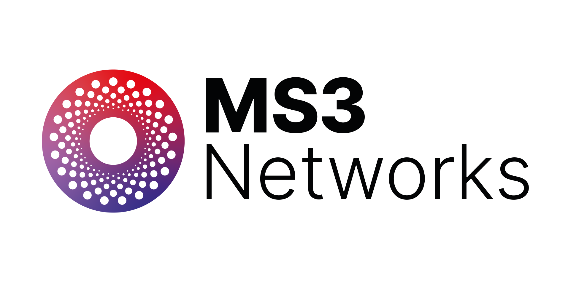 MS3 Logo